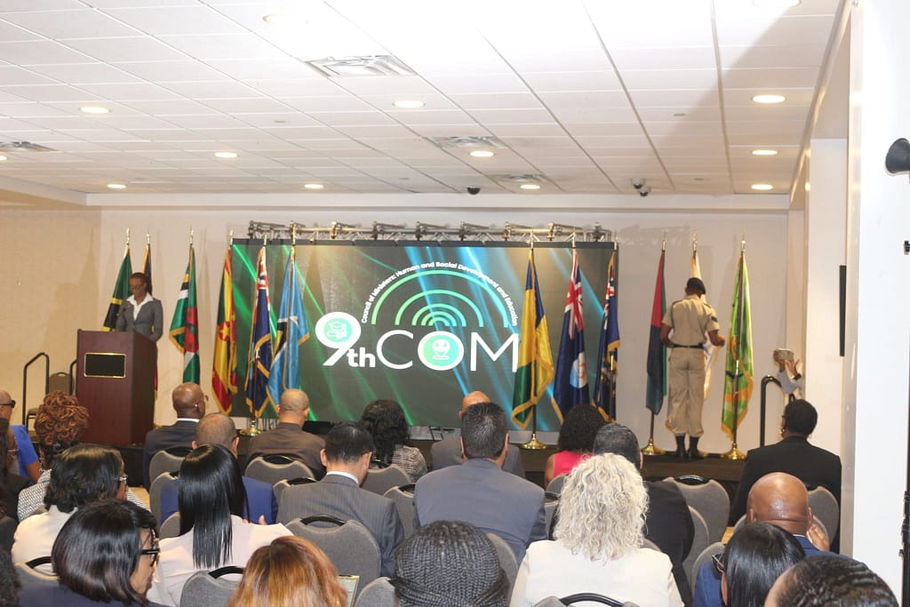 Cadets at Podium with Flags